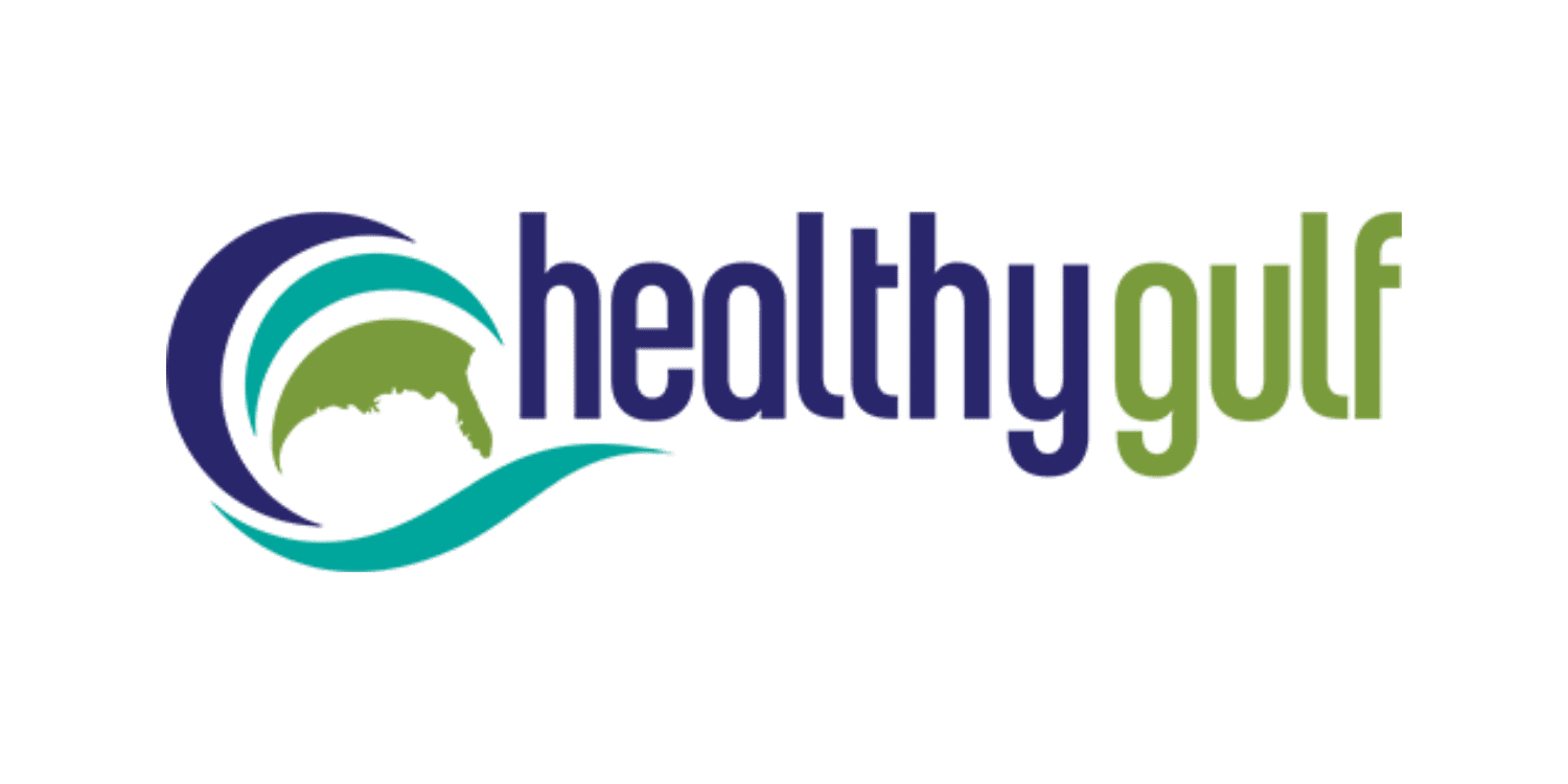 Healthy Gulf logo with a stylized wave and map of the Gulf Coast.